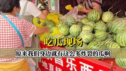 炸裂吃瓜爽文,瓜田里的狂欢盛宴