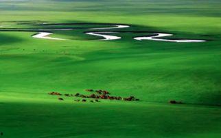 呼伦贝尔吃瓜群众