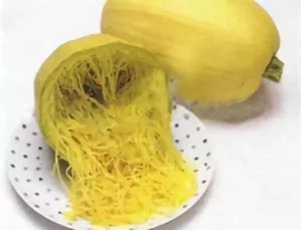 吃绞瓜种,绞瓜种植与美味食谱分享