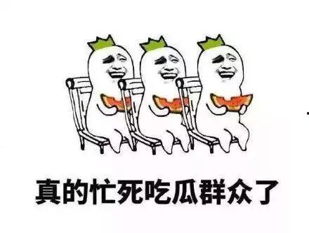 修养吃瓜,品味生活的艺术与智慧