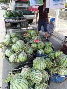 汾阳视频吃瓜事件,揭秘网络舆论的风暴与反思