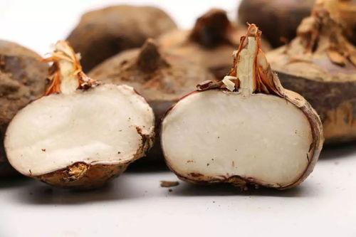 马蹄子吃瓜,一场别开生面的夏日盛宴