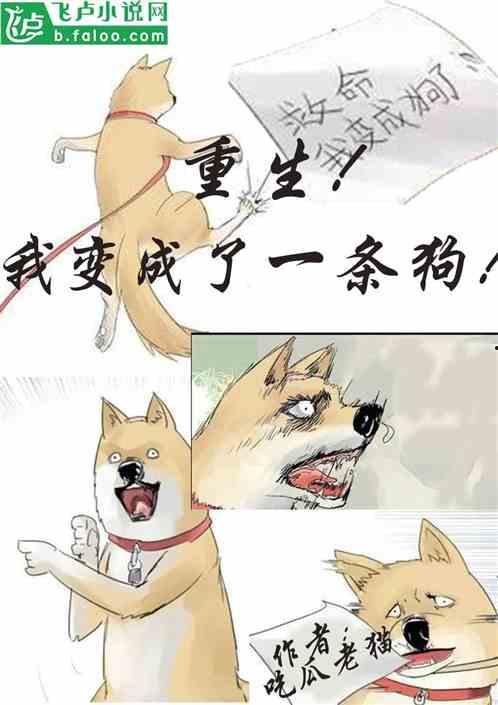 从吃瓜变成被吃瓜的小说