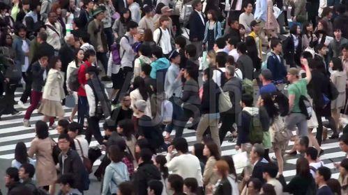 吃瓜群众出彩视频下载,揭秘“吃瓜群众”出彩视频下载背后的秘密