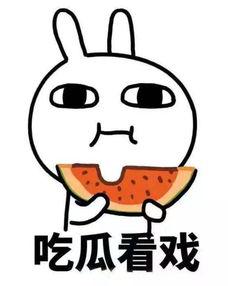 吃瓜得百万动漫,百万动漫背后的秘密之旅