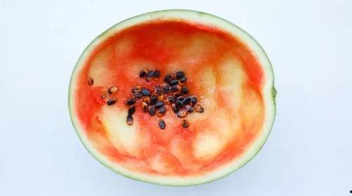 吃瓜炸裂爽文推荐