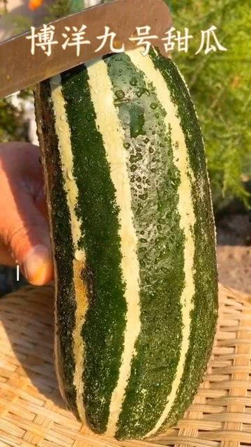 这个瓜怎么吃呀,教你轻松解锁“这个瓜”的正确食用方法