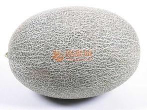 蜜瓜要去皮吃么